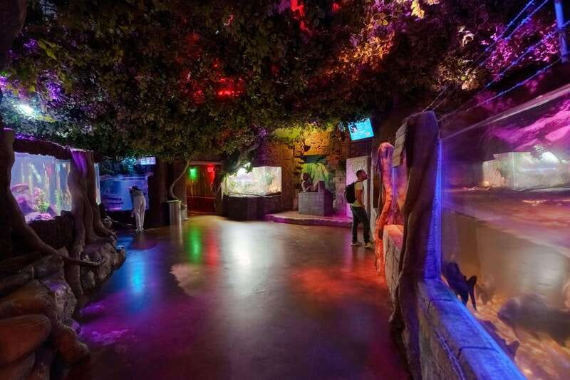 Inbursa Aquarium Entry Ticket with VR Option - Discover Marine Life Through the Aquarium’s Exhibits