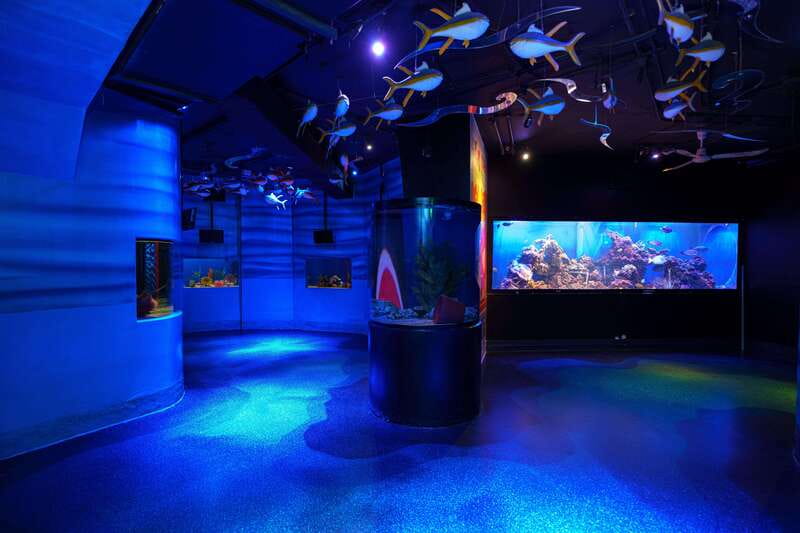 Inbursa Aquarium Entry Ticket with VR Option - Limitations and Considerations for Visitors
