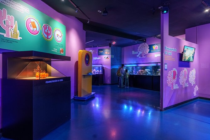 Inbursa Aquarium ticket - Enhance Your Visit with a Virtual Reality Experience