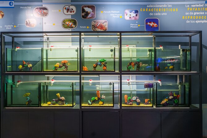 Inbursa Aquarium ticket - Who Should Consider This Tour