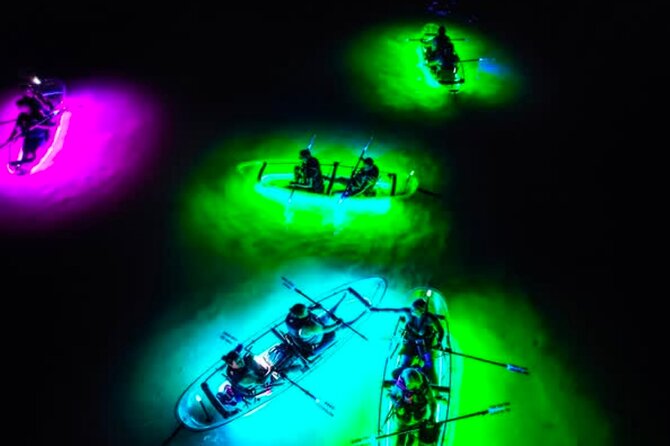 Inclusive Glass Boat Rental Peanut Island Snorkel Gear & Snacks - How the Glass-Bottom Kayaks Enhance Water Exploration