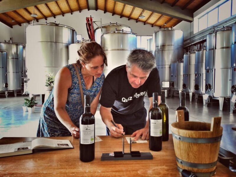 Incredible experience in a organic company - Become a Winemaker for a Day in Sicily