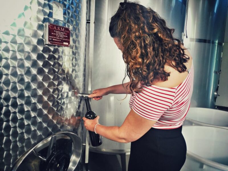 Incredible experience in a organic company - Exploring Alcamo: The Wine Tasting Experience