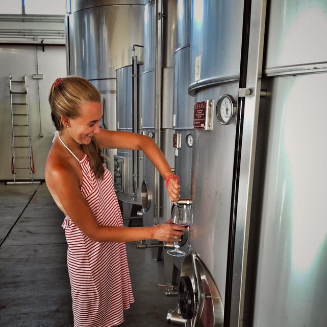 Incredible experience in a organic company - The Scenic Return to Quattrocieli