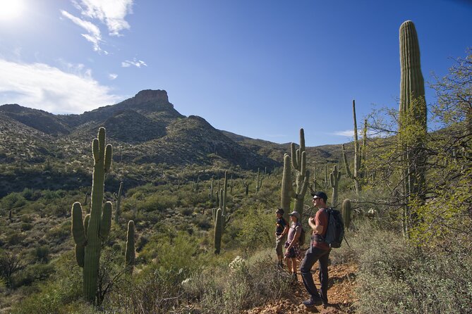 Incredible Hidden Valley Guided Hike in Phoenix, Arizona - Key Points