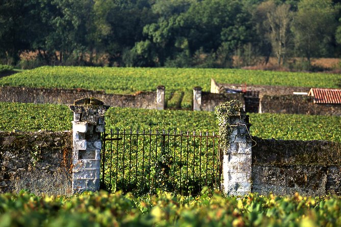 Incredible Loire castles tour with Wine tastings and Lunch - Convenience of Hotel Pickup and Small-Group Travel