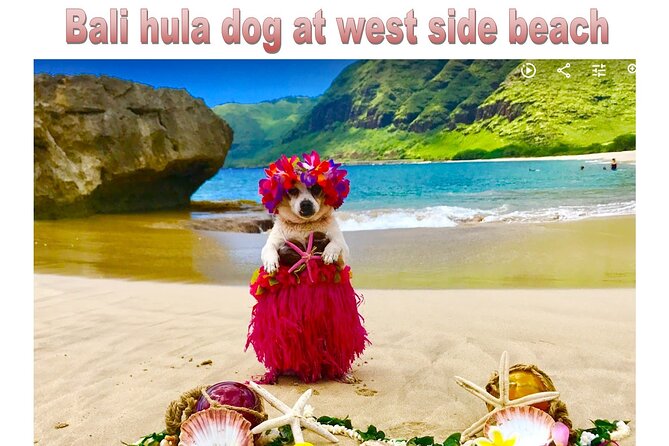 Incredible west side hidden gems -PLEASE CONTACT BEFORE BOOKING - Visiting Pray for Sex Beach and Other West Side Highlights