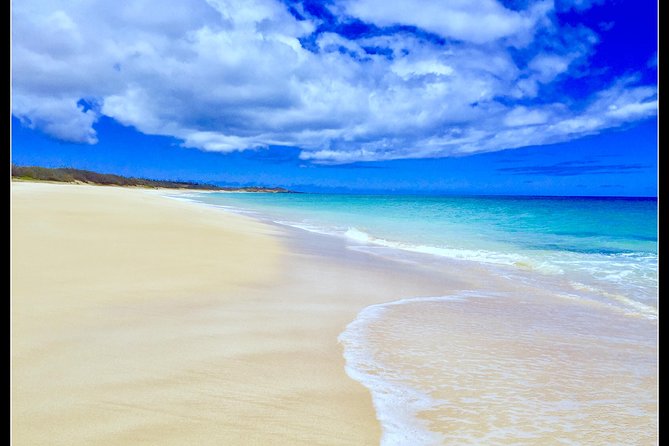 Incredible west side hidden gems -PLEASE CONTACT BEFORE BOOKING - The Experience of a Knowledgeable Guide