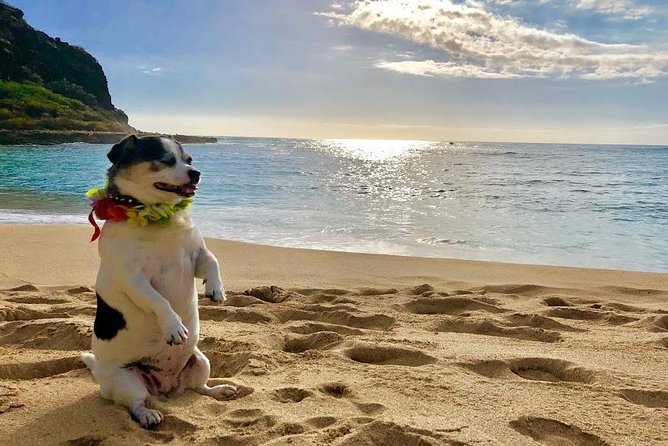 Incredible west side hidden gems -PLEASE CONTACT BEFORE BOOKING - Booking, Cancellation, and Flexibility