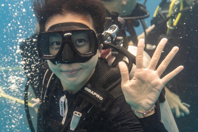 Incredibly Fun 2-Tank Coral Reef South Shore Boat Dive in Oahu from Waikiki - Starting Point and Meeting Logistics at Waikiki