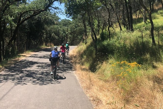 Independent Hassle-free Bike Rental in Sonoma - What’s Included in the Rental Package