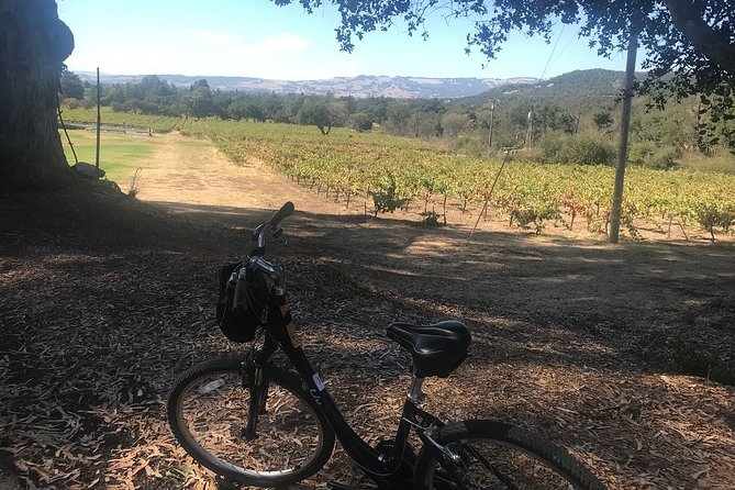 Independent Hassle-free Bike Rental in Sonoma - The Start Point and Accessibility