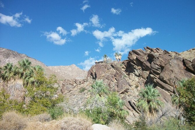 Indian Canyons Hiking Tour by Jeep from Palm Desert - Suitable For