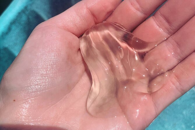 Indian River Clear Bottom Kayak or Paddleboarding Manatee and Dolphin Tour - Explore the Indian River Lagoon with Clear Bottom Kayaking or Paddleboarding