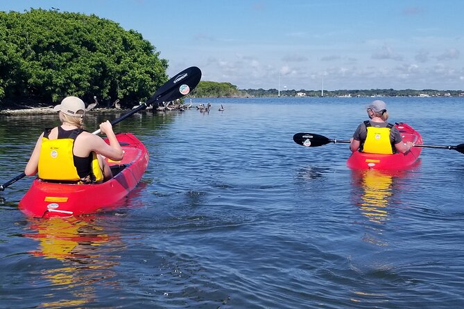 Indian River Clear Bottom Kayak or Paddleboarding Manatee and Dolphin Tour - Starting Point and Location in Merritt Island