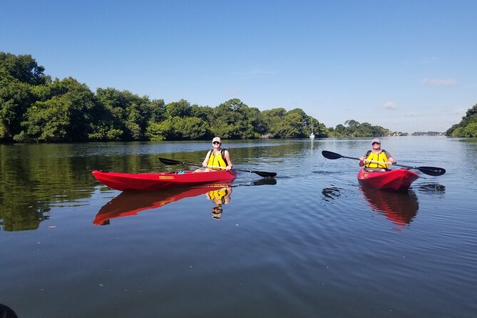 Indian River Clear Bottom Kayak or Paddleboarding Manatee and Dolphin Tour - Best Times to Paddle for Wildlife Viewing