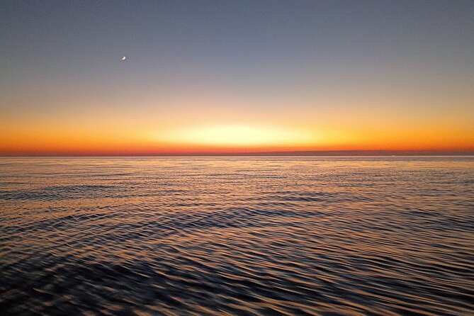 Indian Rocks Beach Evening Party Cruise (Thursday-Saturday) - Logistics and Practical Tips