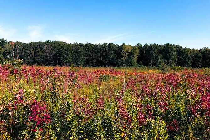 Indiana Dunes National Park Self-Guided Audio Tour - Practicalities and Accessibility
