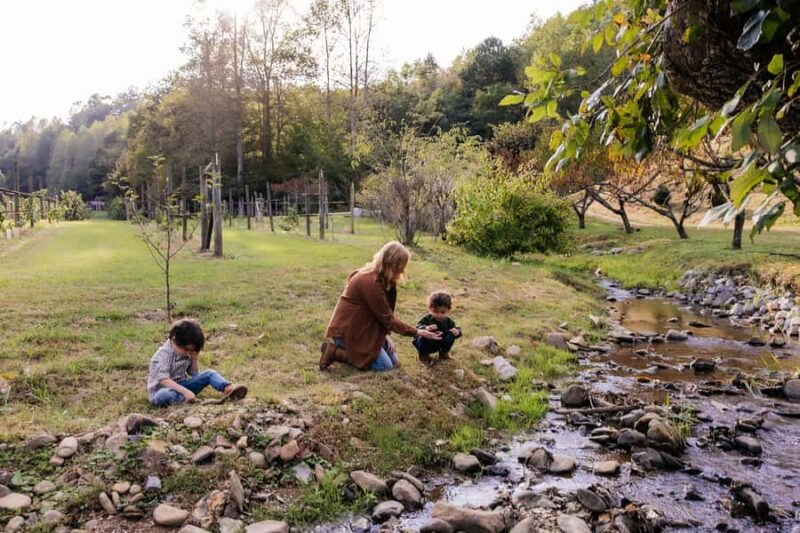 Indianapolis: Private Vacation Photoshoot with Photographer - The Sum Up: A Personalized Way to Remember Indianapolis