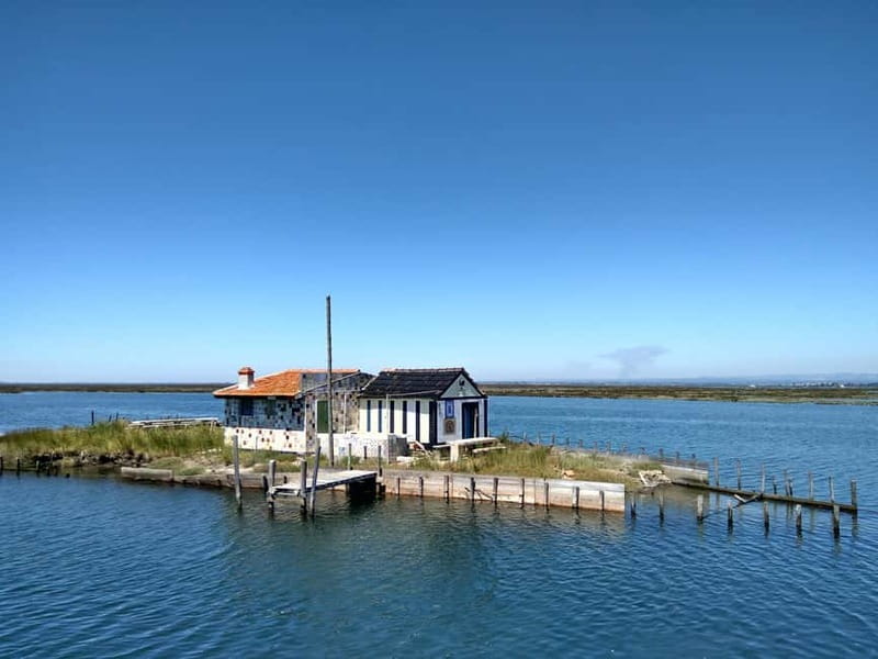 Industry or Nature Boat Tour | Speedboat - Navigating the Floodgates of Aveiro and the Estuary