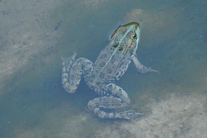 Inflatable boat excursion Gole di Tiberio on the Madonie near Cefalù - Walking and Swimming Along the Pollina River