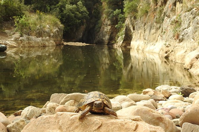 Inflatable boat excursion Gole di Tiberio on the Madonie near Cefalù - Natural Wonders: Fossils, Nests, and Rocky Formations