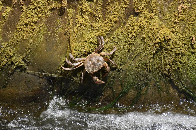 Inflatable boat excursion Gole di Tiberio on the Madonie near Cefalù - Practical Equipment and Facilities