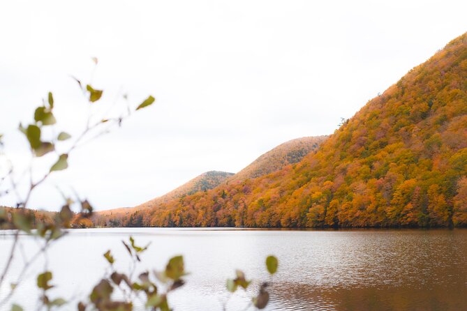 Ingonish and Keltic Lodge 6 Hours Cabot Trail Tour - Key Points