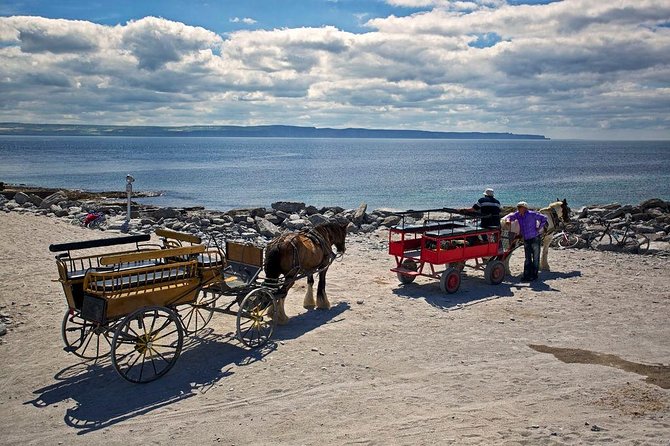 Inis Mór (Aran Islands) Day Trip: Return Ferry from Rossaveel, Galway - The Sum Up: A Practical, Flexible Way to Visit Inishmore