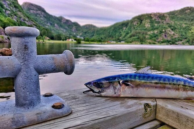 Inshore fishing in the Drangefjord - Discover the Charm of Inshore Fishing in Norway’s Drangefjord