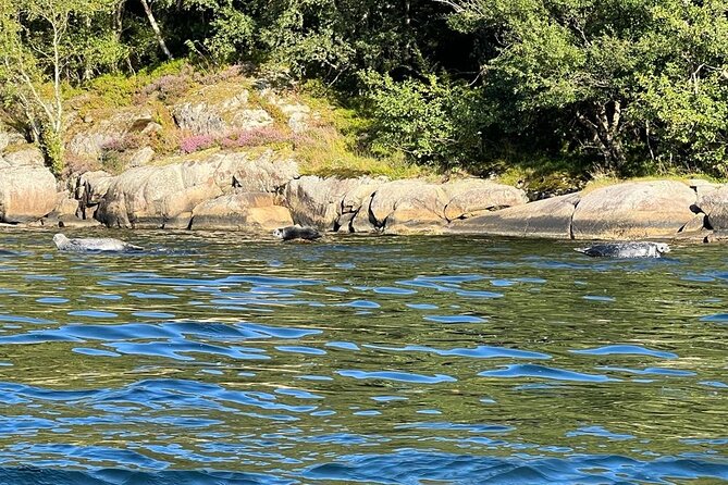 Inshore fishing in the Drangefjord - The Role of the Guide in Creating a Memorable Experience