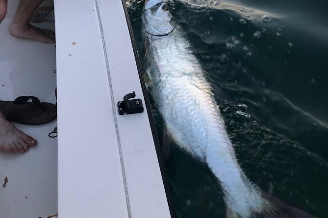 Inshore Sport Fishing with Local Guide - The Variety of Fish You Can Catch in Fort Lauderdale’s Inshore Waters