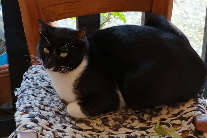 Inside the Buffer Zone of Nicosia - Why This Tour Is a Rich Experience for Visitors