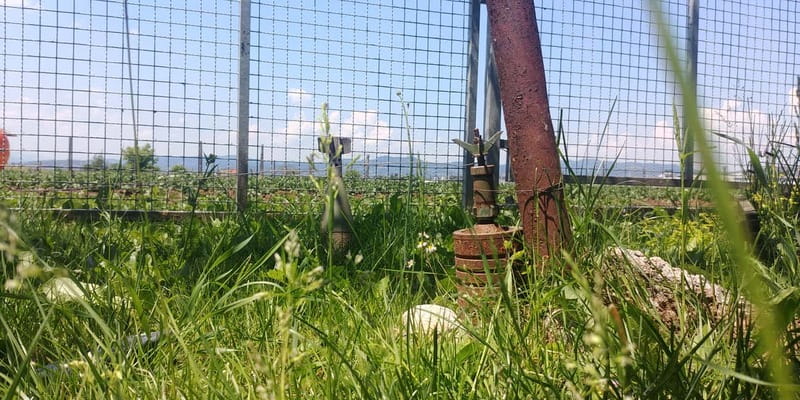 Inside the Siege: Sarajevos Story of Survival - Visiting the Yellow Fortress for a Citywide View