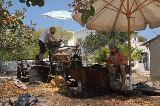 Insightful Pistachio Orchard and Factory Tour - Meeting Point and Tour Logistics