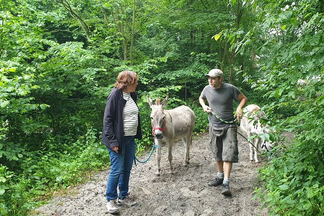 Inspirational Nature Walking Tour with Donkeys in The Hague - Interacting with Friendly Donkeys in Natural Settings