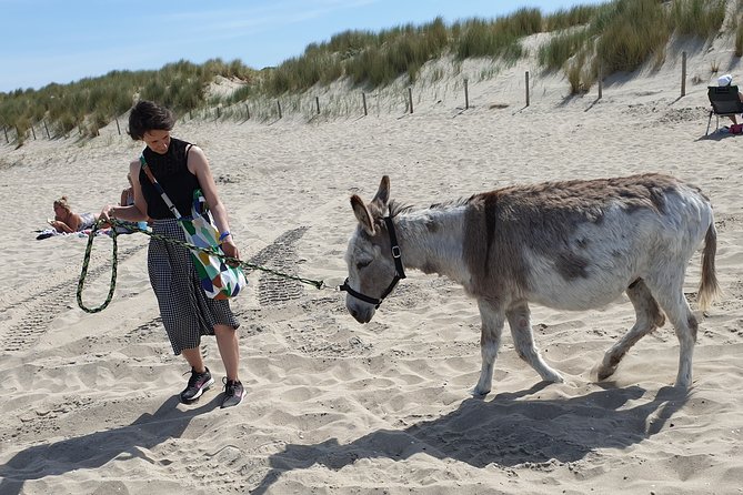 Inspirational Nature Walking Tour with Donkeys in The Hague - The Food and Drink Experience