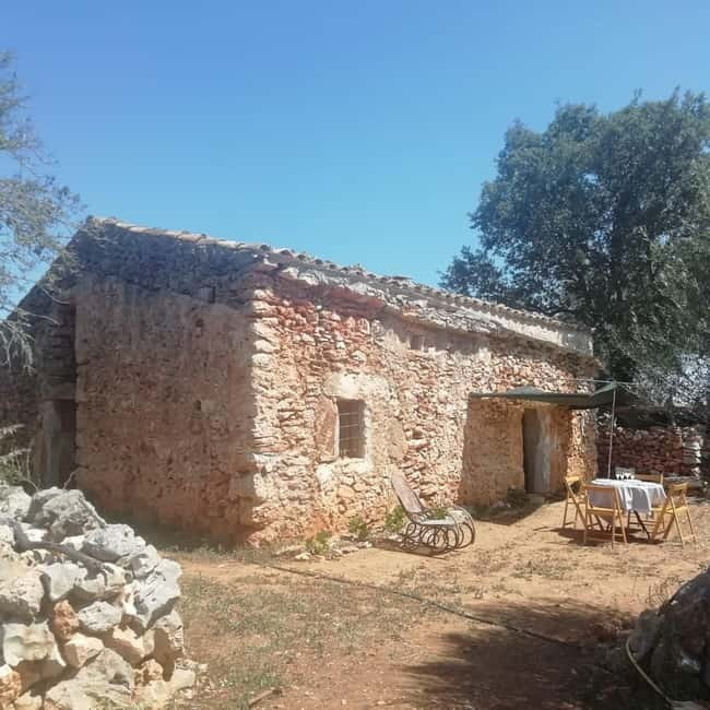 INTENSIVE CHIROMASSAGE WORKSHOP - What Is Included in the Workshop