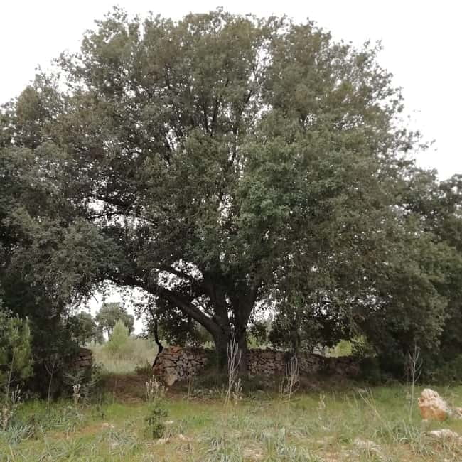 INTENSIVE CHIROMASSAGE WORKSHOP - What Participants Need to Bring and Considerations