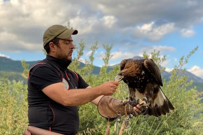 Interactive Educational Course on Birds of Prey - The Overall Experience and Who Will Love It