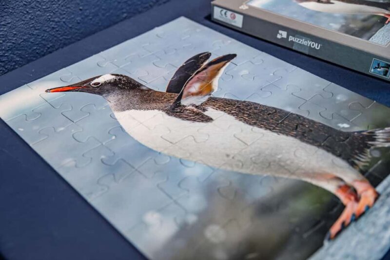 Interactive Photo-Museum of Antarctica with Virtual Reality - Frequently Asked Questions