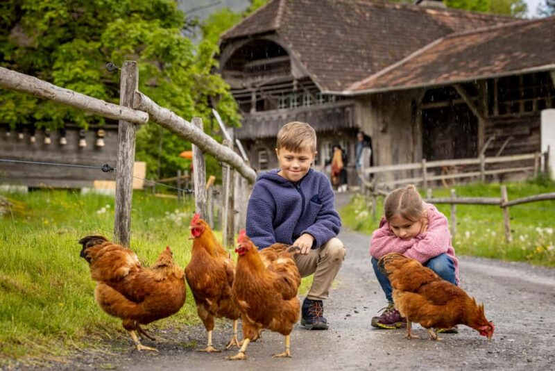 Interlaken: Admission ticket for the Ballenberg Open-Air Museum - Accessibility and Family-Friendly Features