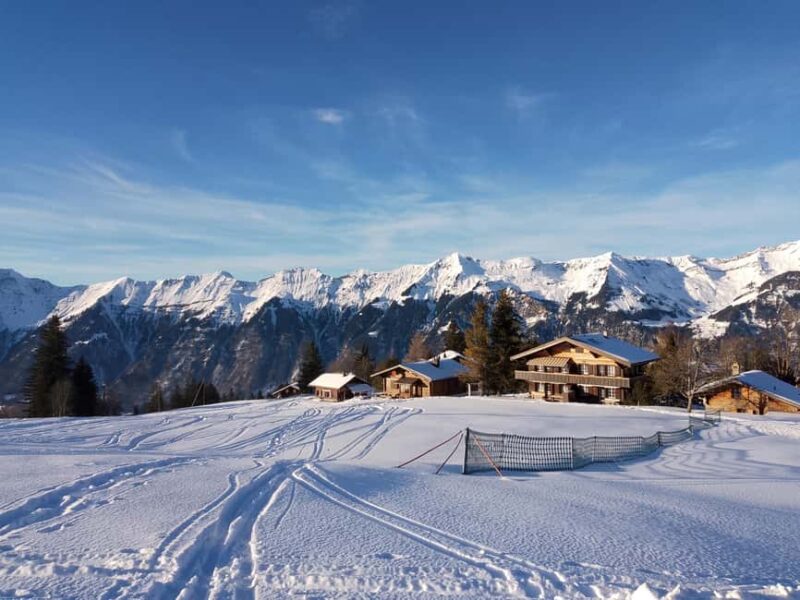 Interlaken: All-inclusive Half-day Ski Taster for beginners - Flexibility and Refund Policy