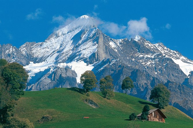 Interlaken and Grindelwald Day Trip from Lucerne - Key Points