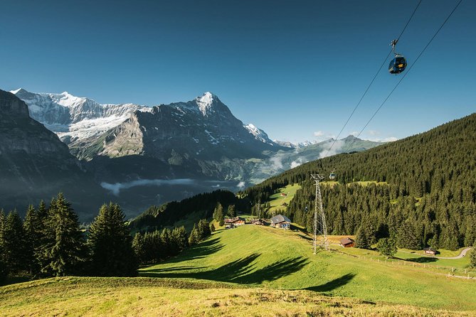 Interlaken and Grindelwald Day Trip from Lucerne - Discover Grindelwald, the "Glacier Village"