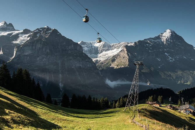 Interlaken and Grindelwald Day Trip from Lucerne - The Guide and Transportation Experience