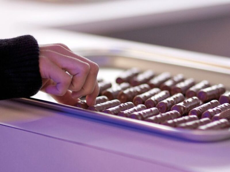 Interlaken: Cheese and Chocolate Full-Day Food Tour - Bern’s UNESCO World Heritage Old Town