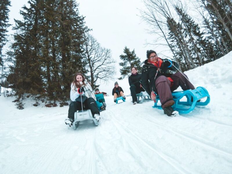 Interlaken: Guided Sledging Adventure - Scenic Stops and Photo Opportunities