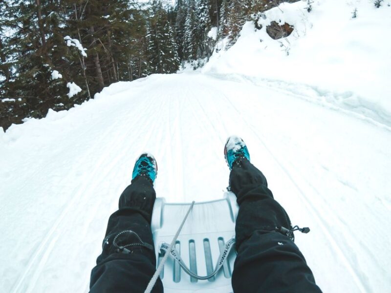 Interlaken: Guided Sledging Adventure - What Sets This Tour Apart