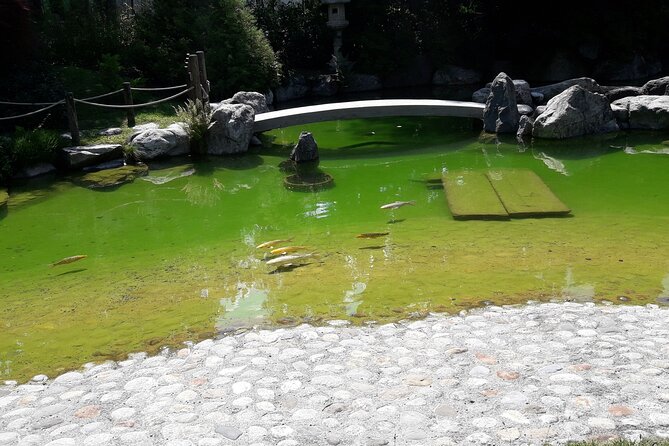 Interlaken Non Stop Intro Safari with CLOY Pier Iseltwald Private - Final Thoughts on the Interlaken Non Stop Intro Safari